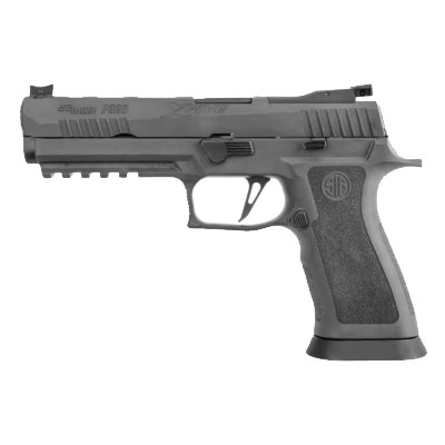 handgun model