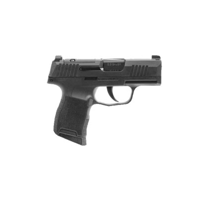 handgun model