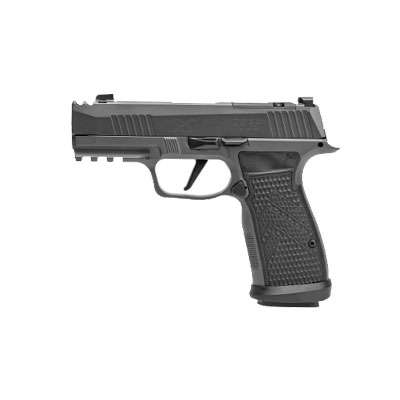 handgun model