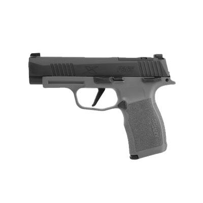 handgun model