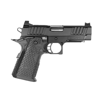 handgun model